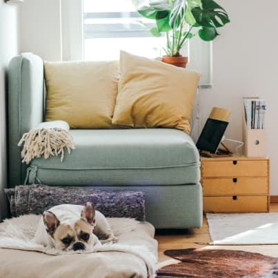 Уже выбрали товары на европейском сайте ИКЕА?